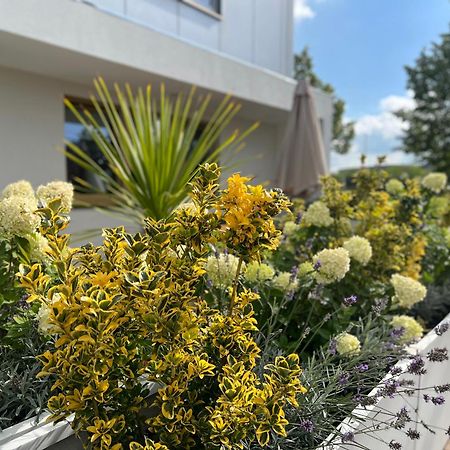 Neu 2023 Gemuetliches Apartment Im Eichsfeld Leinefelde-Worbis Exteriör bild