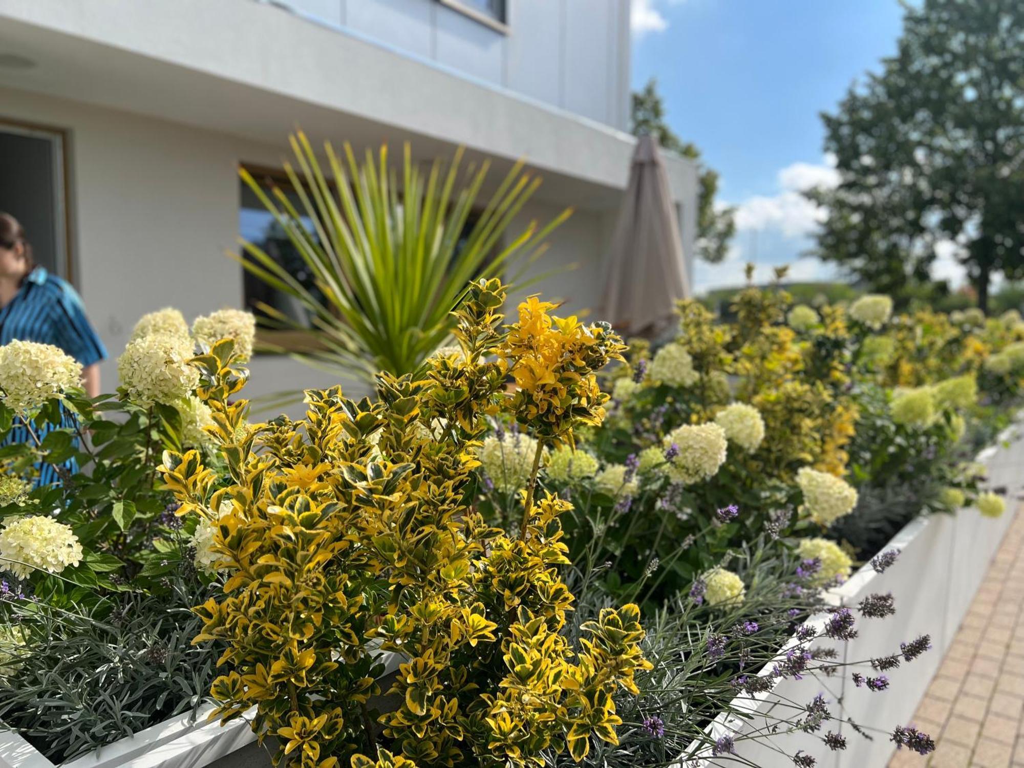 Neu 2023 Gemuetliches Apartment Im Eichsfeld Leinefelde-Worbis Exteriör bild